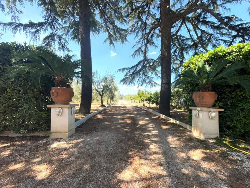 Villa a Terlizzi in SC Belvedere - Foto 5