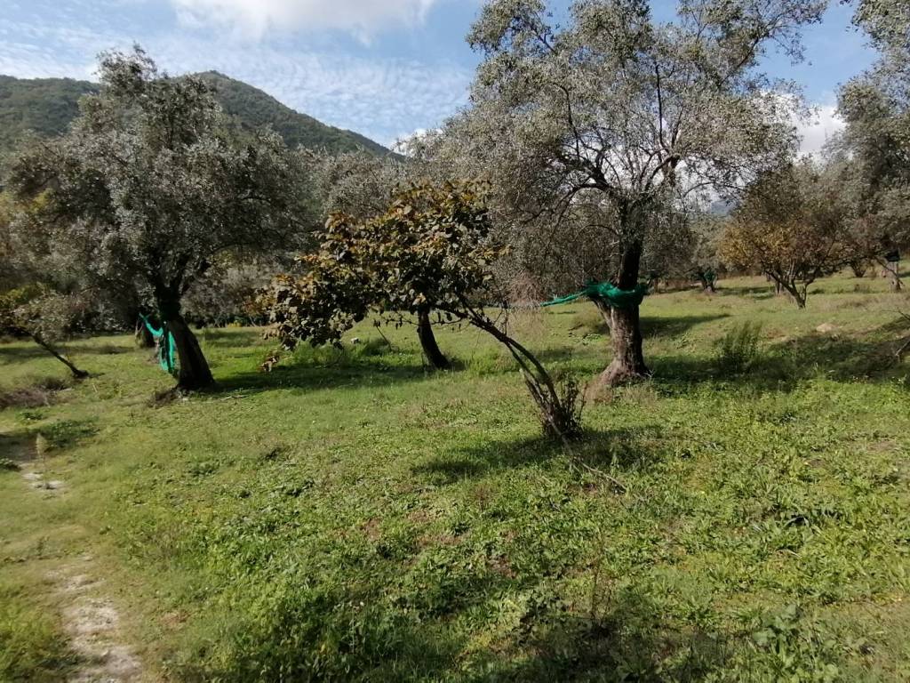 Terreno a Giffoni valle piana in Via Catelde - Foto 2