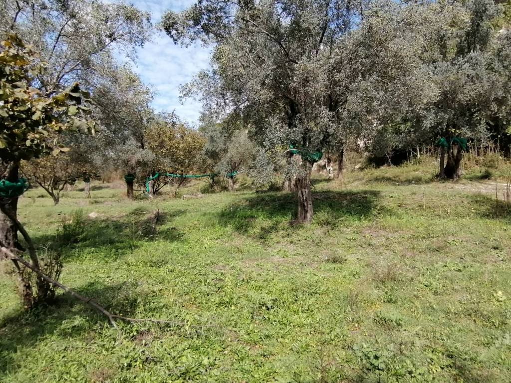 Terreno a Giffoni valle piana in Via Catelde - Foto 3
