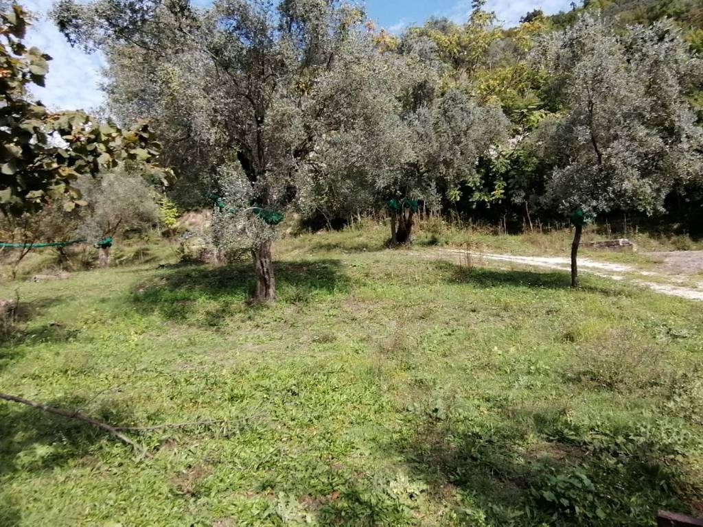 Terreno a Giffoni valle piana in Via Catelde - Foto 4