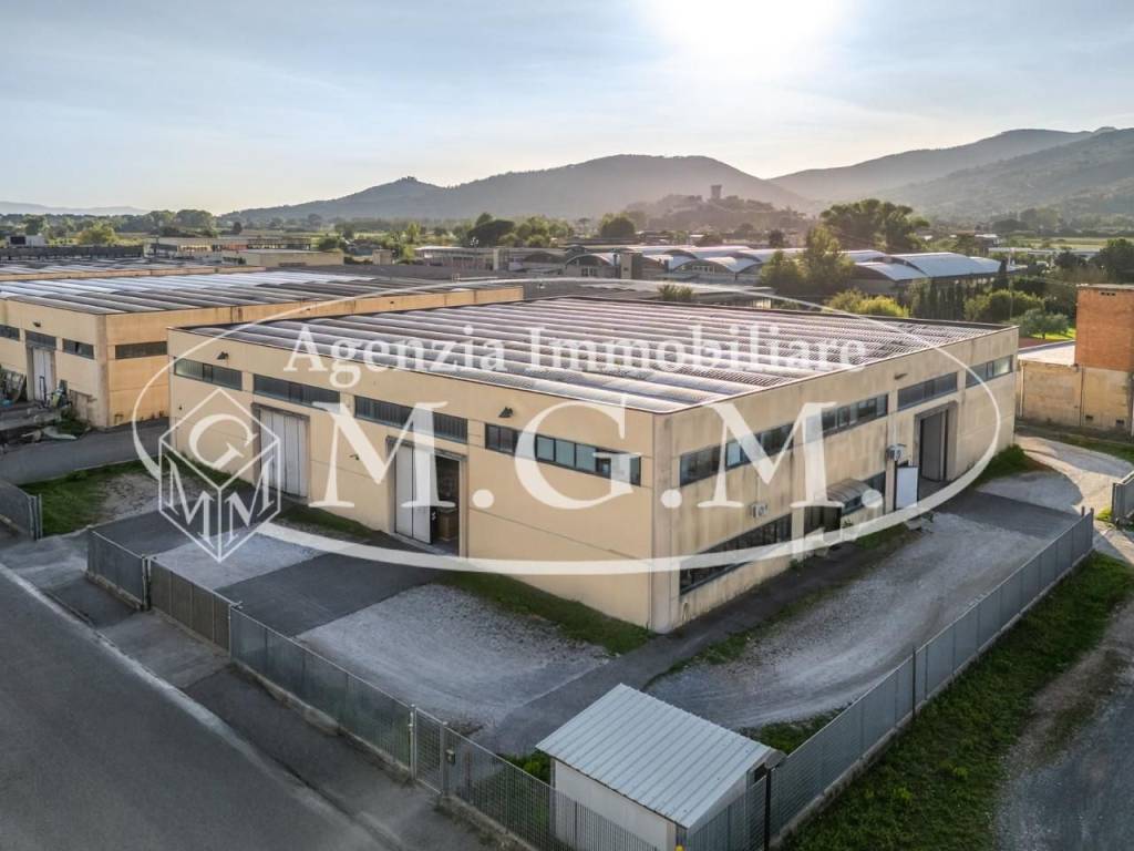 Immobile a Vicopisano in Via Torino, , 7 - Foto 3