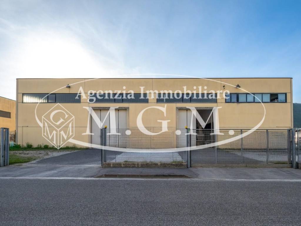 Immobile a Vicopisano in Via Torino, , 7 - Foto 5