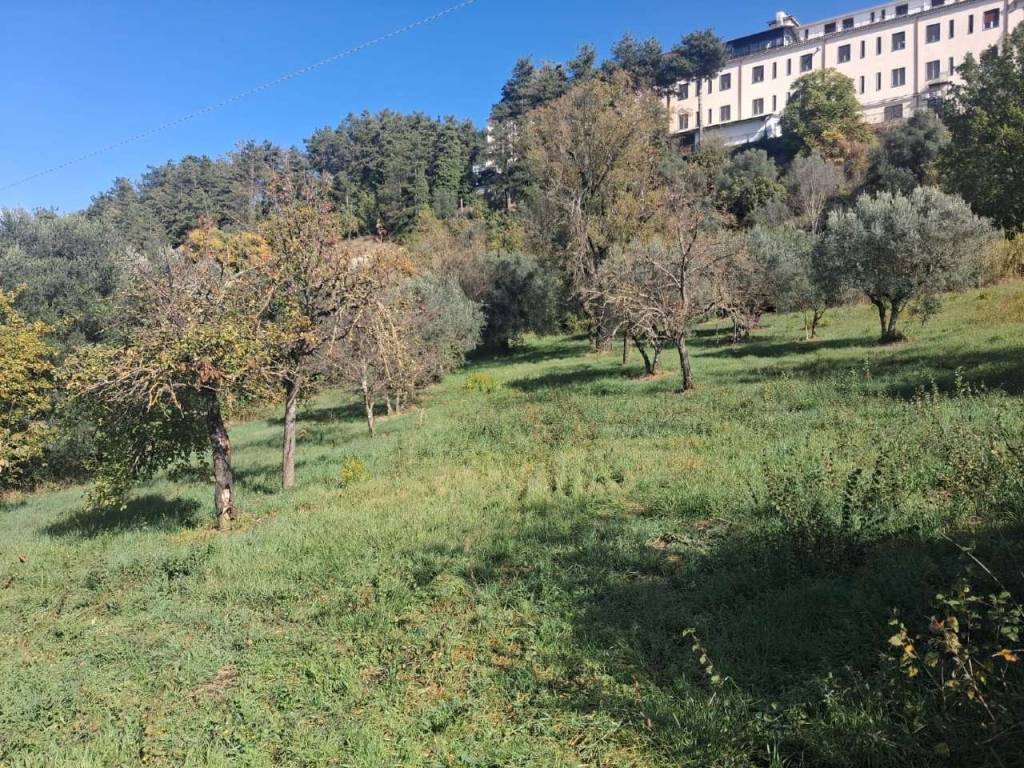 Terreno a Veroli in via Foiano - Foto 2