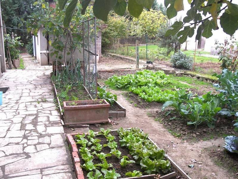 Villa a Torrita di siena - Foto 4