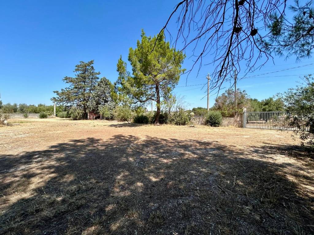 Immobile a Grottaglie - Foto 4