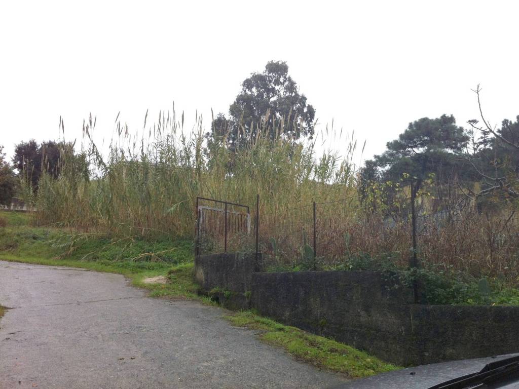 Terreno a Gizzeria in Località Maiolino - Foto 2