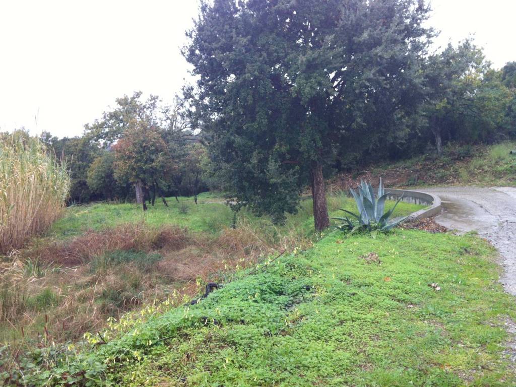 Terreno a Gizzeria in Località Maiolino - Foto 4