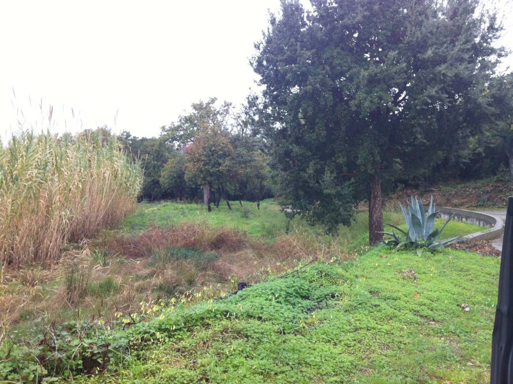 Terreno a Gizzeria in Località Maiolino - Foto 5