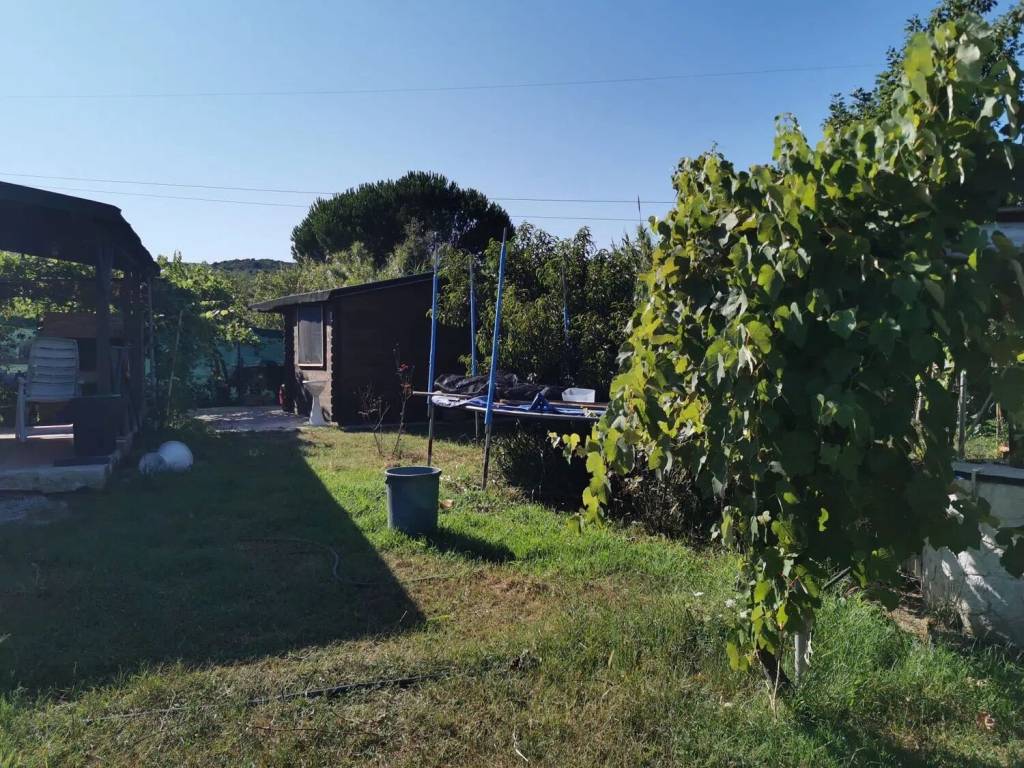 Terreno a Piombino - Foto 3