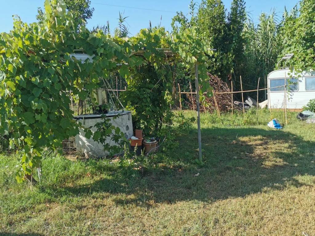 Terreno a Piombino - Foto 5