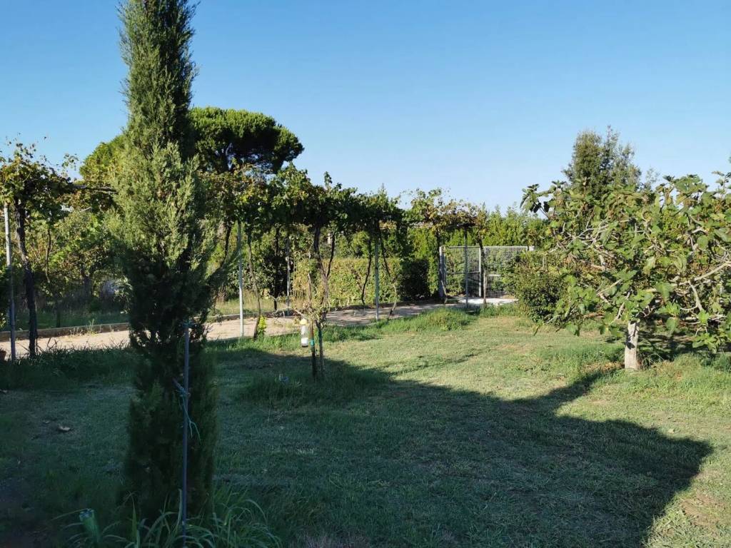 Terreno a Piombino in Località Asca No Number - Foto 3