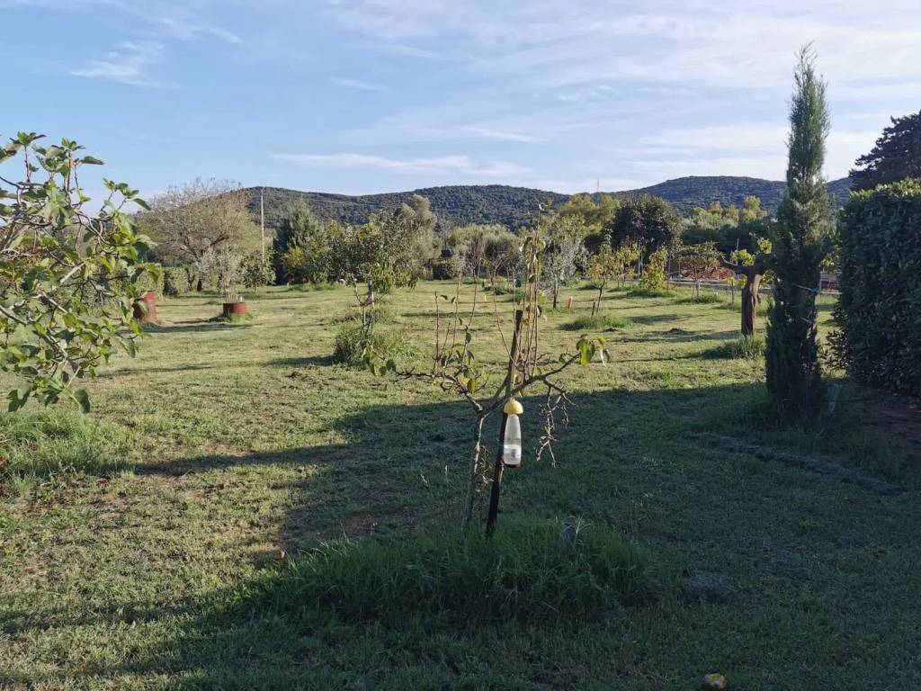 Terreno a Piombino in Località Asca No Number - Foto 4