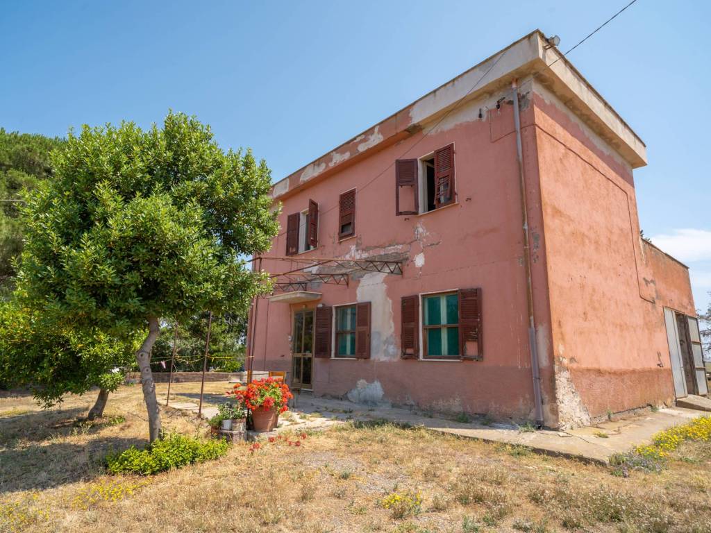 Rustico / casale a Tarquinia in località selvaccia - Foto 2
