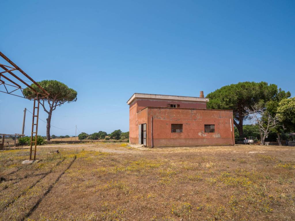 Rustico / casale a Tarquinia in località selvaccia - Foto 5