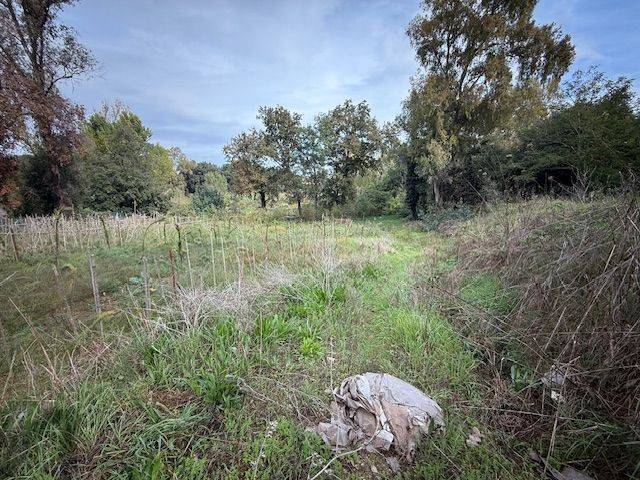 Terreno a Sabaudia in Via Valentino Orsolini Cencelli - Foto 2