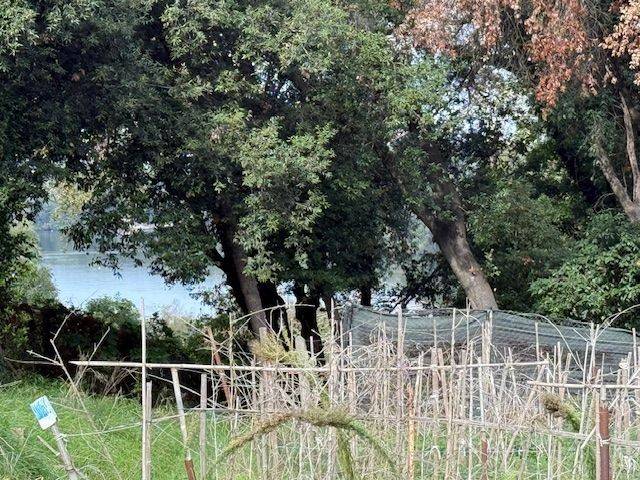 Terreno a Sabaudia in Via Valentino Orsolini Cencelli - Foto 3