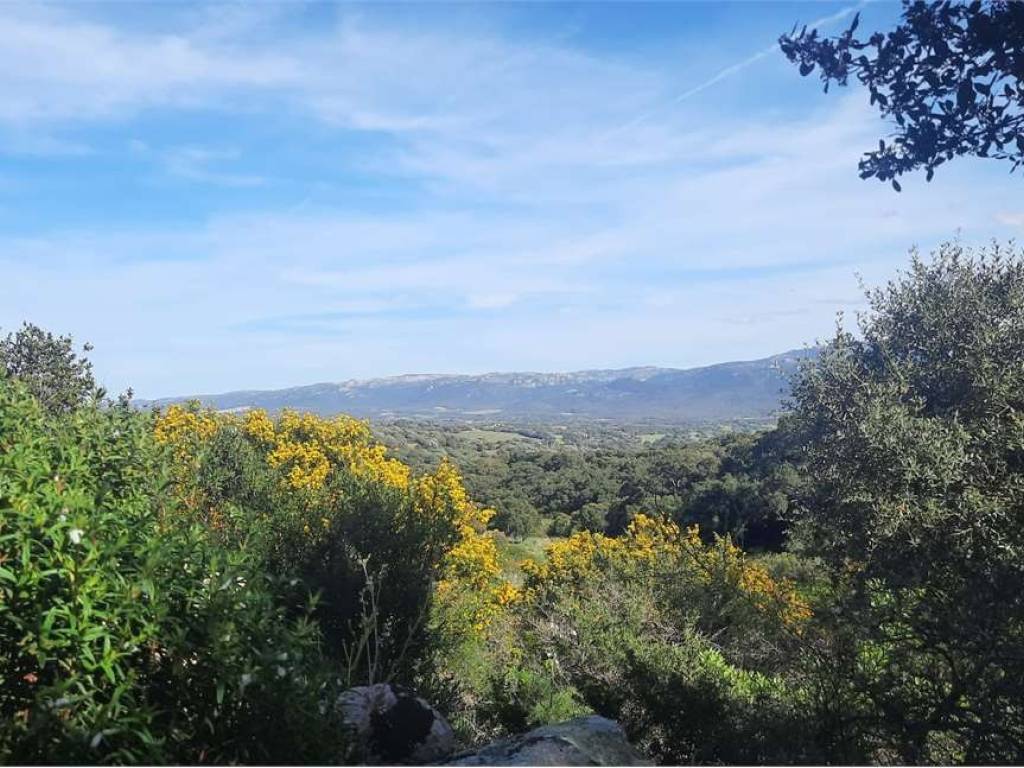 Terreno a Arzachena in Località Punta d'Acu - Foto 2