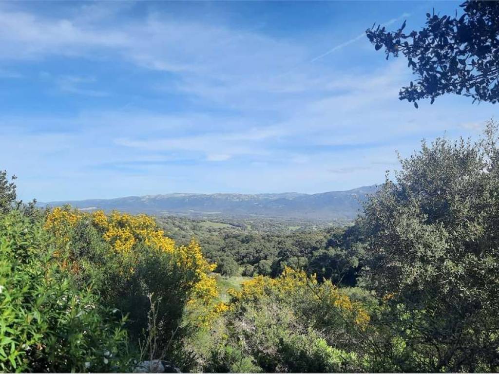 Terreno a Arzachena in Località Punta d'Acu - Foto 3