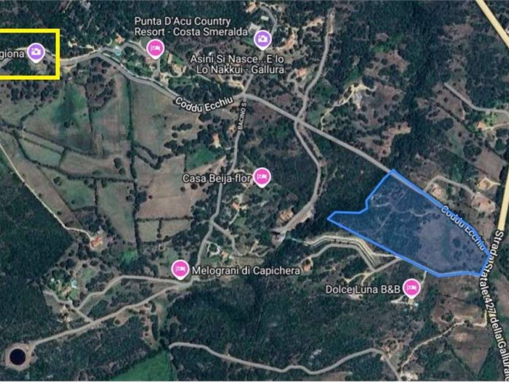 Terreno a Arzachena in Località Punta d'Acu - Foto 4