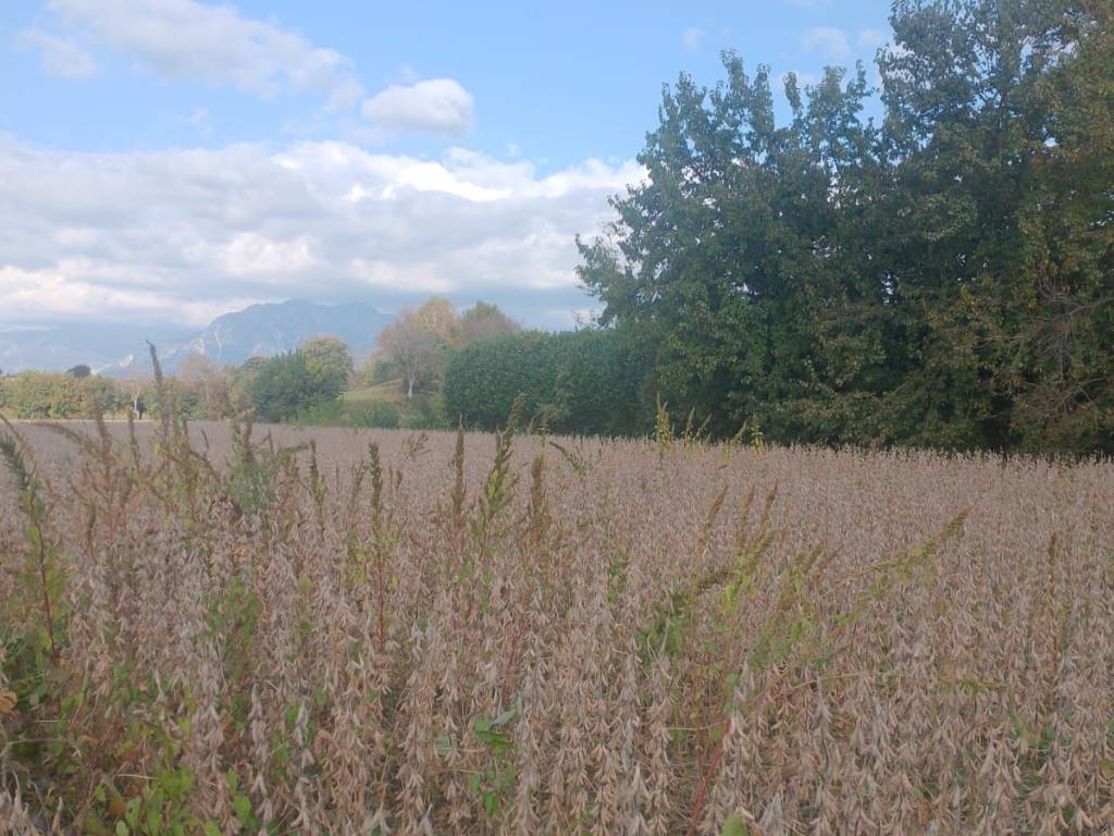 Terreno a Majano - Foto 2