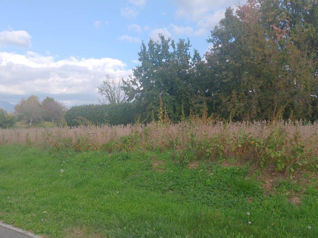 Terreno a Majano - Foto 3