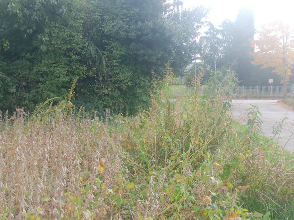 Terreno a Majano - Foto 4