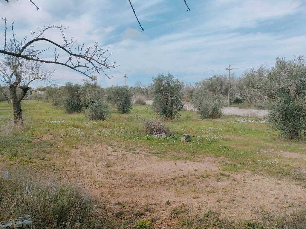 Terreno a Neviano in Strada Comunale di Collepasso - Foto 3