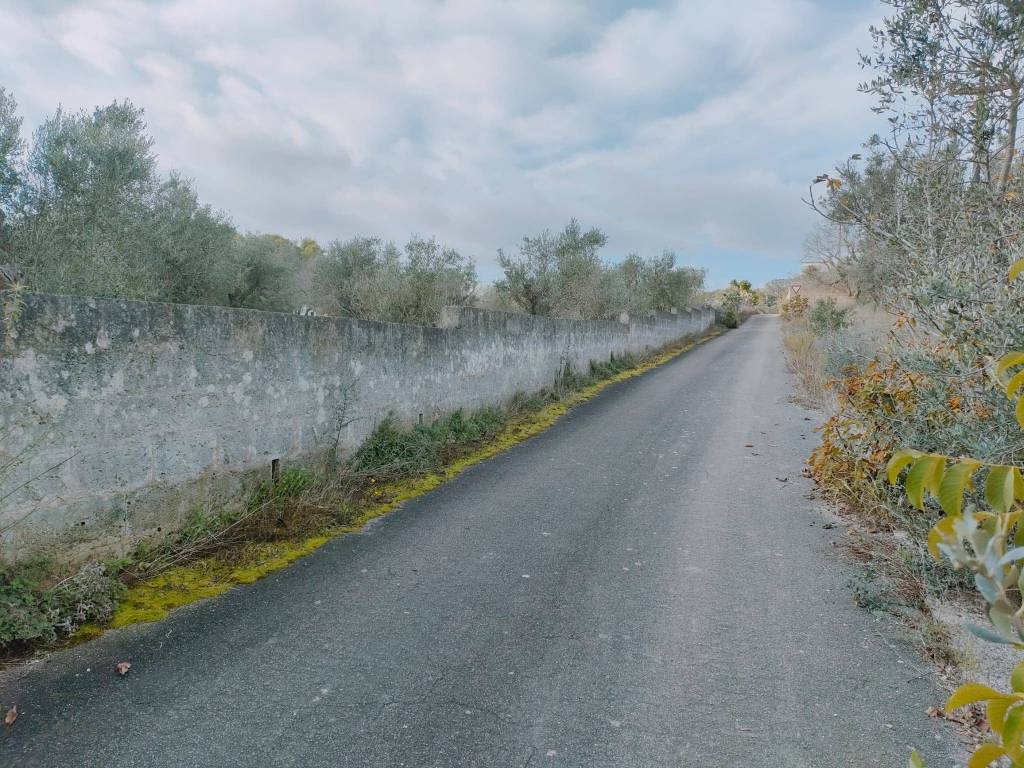 Terreno a Neviano in Strada Comunale di Collepasso - Foto 5