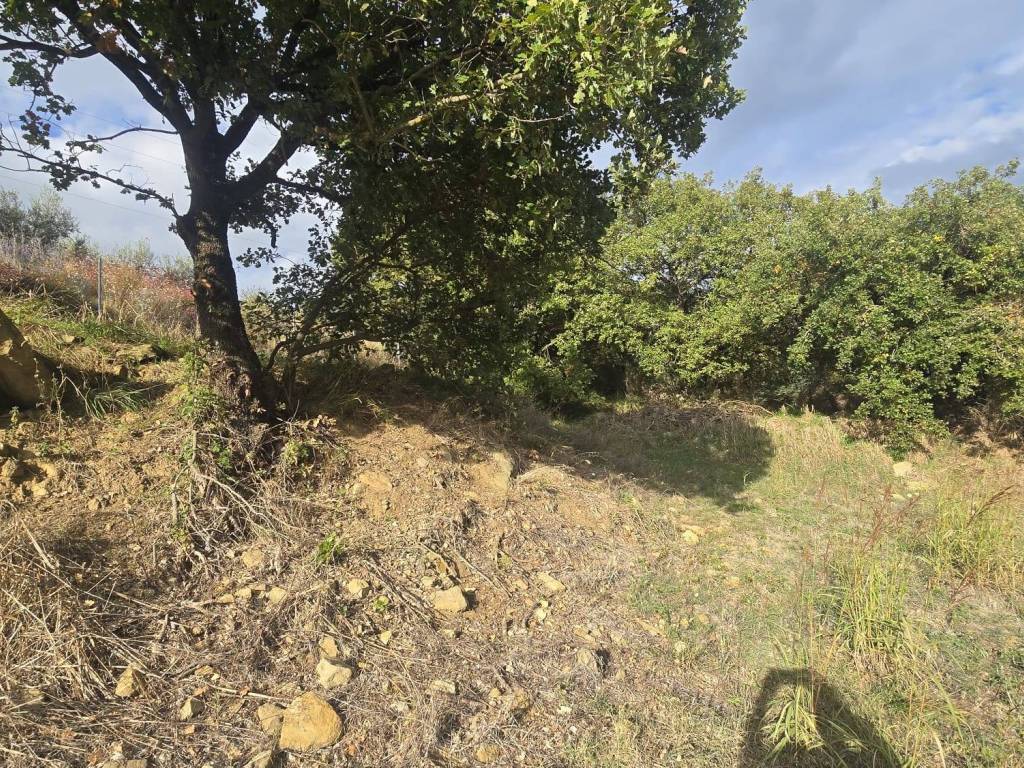 Terreno a Panicale in Via Salvador Allende - Foto 4