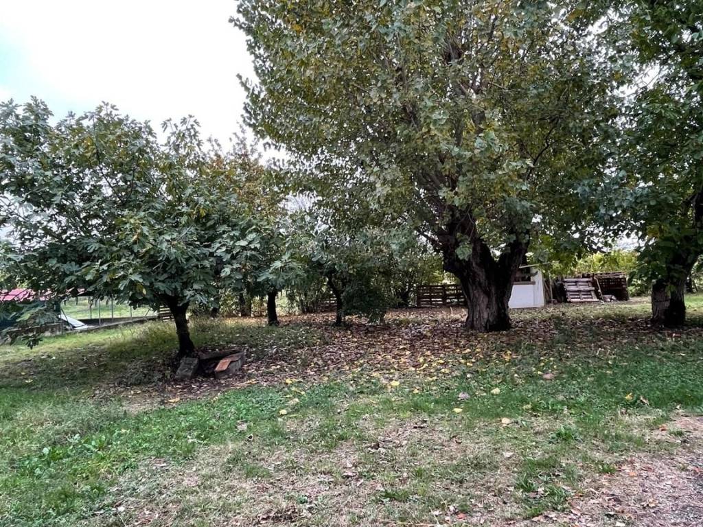 Villa a Mordano - Foto 5