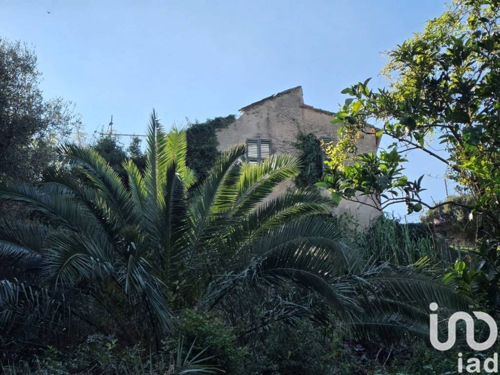 Rustico / casale a Quiliano in Via San Rocco, 2 - Foto 2