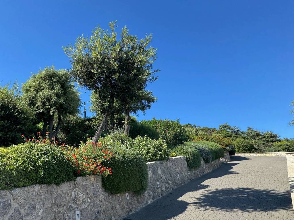 Villa a Orbetello - Foto 4