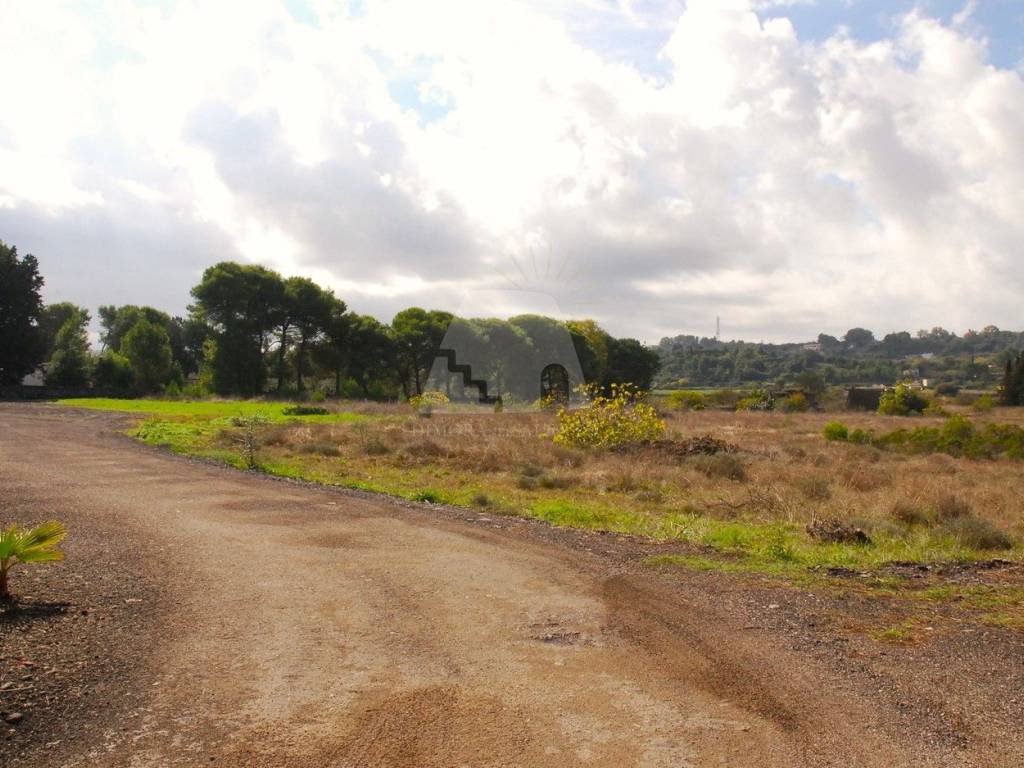 Terreno a Alessano in Via Vigna la Corte - Foto 3