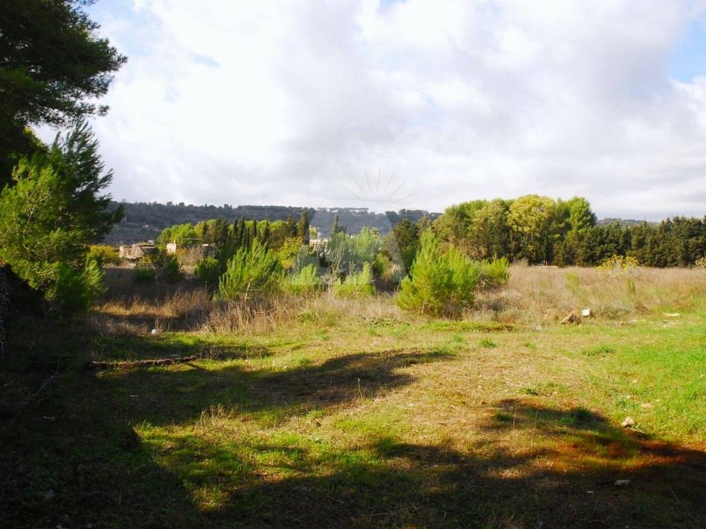 Terreno a Alessano in Via Vigna la Corte - Foto 5
