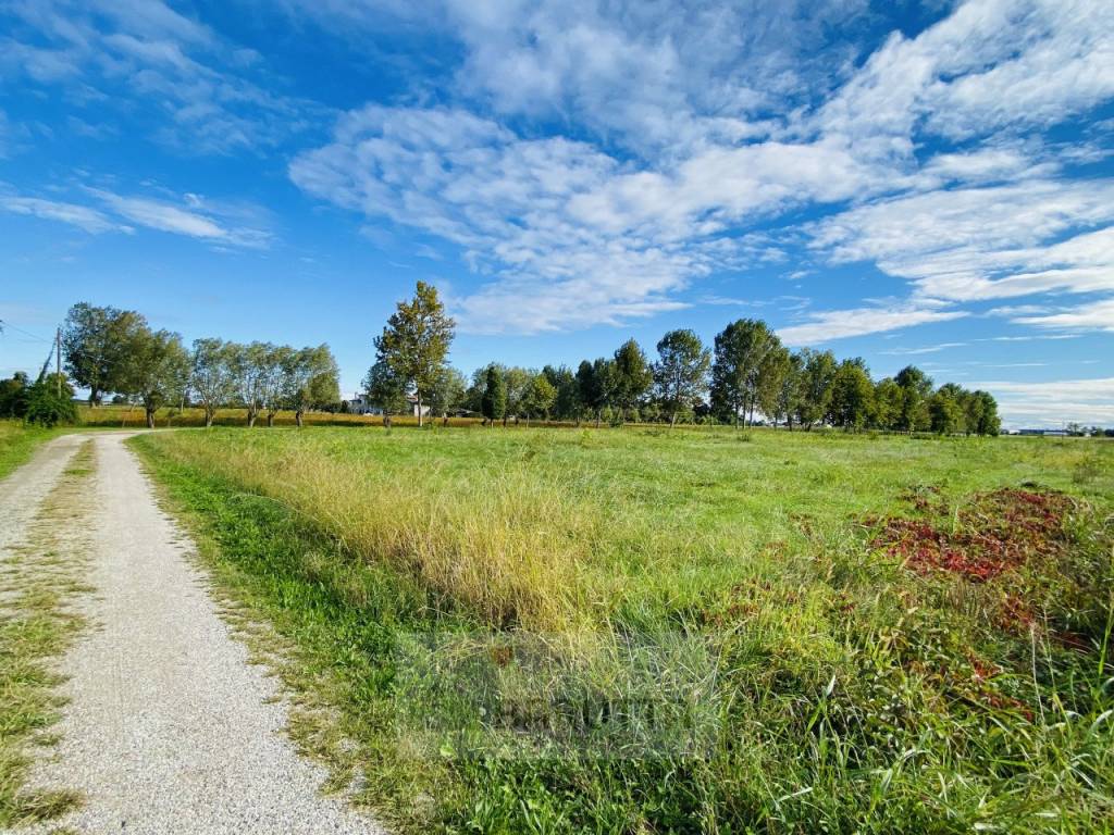 Terreno a Borgoricco in via pelosa 152 - Foto 3