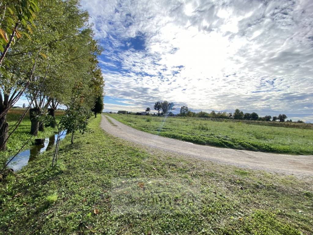 Terreno a Borgoricco in via pelosa 152 - Foto 4