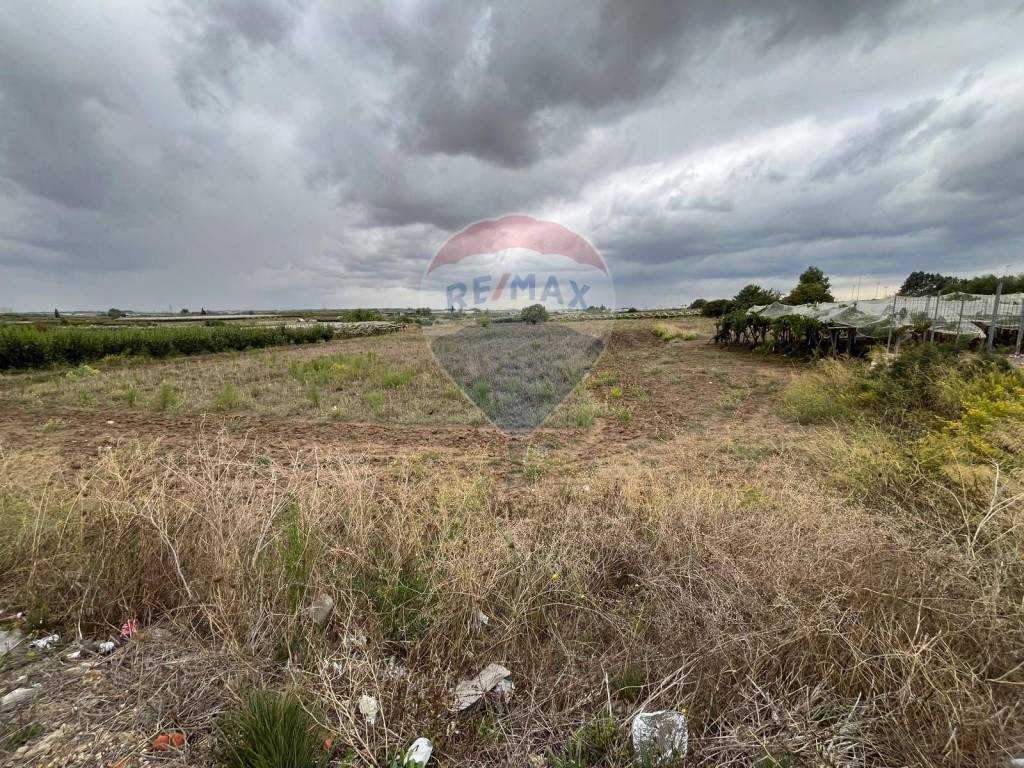 Terreno a Adelfia in circonvallazione di adelfia - Foto 5