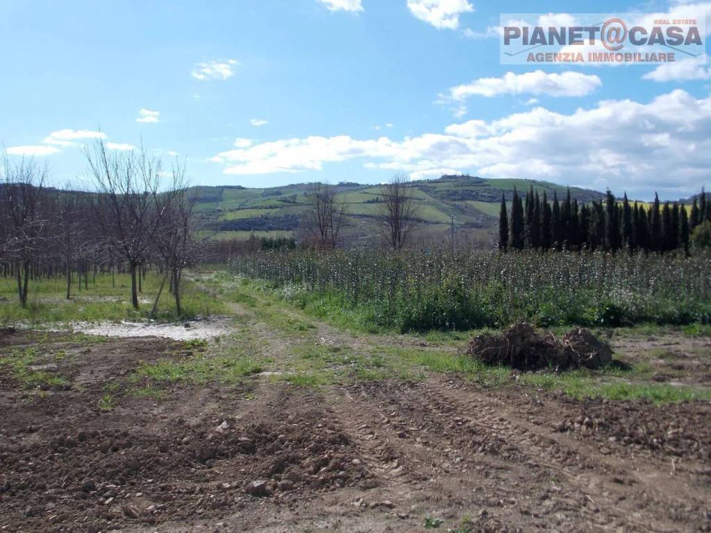 Terreno a Spinetoli in Via Morrice - Foto 2