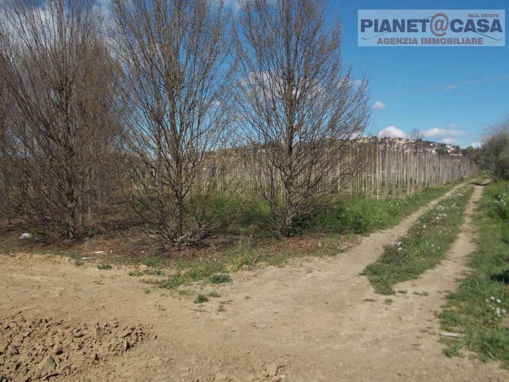 Terreno a Spinetoli in Via Morrice - Foto 3