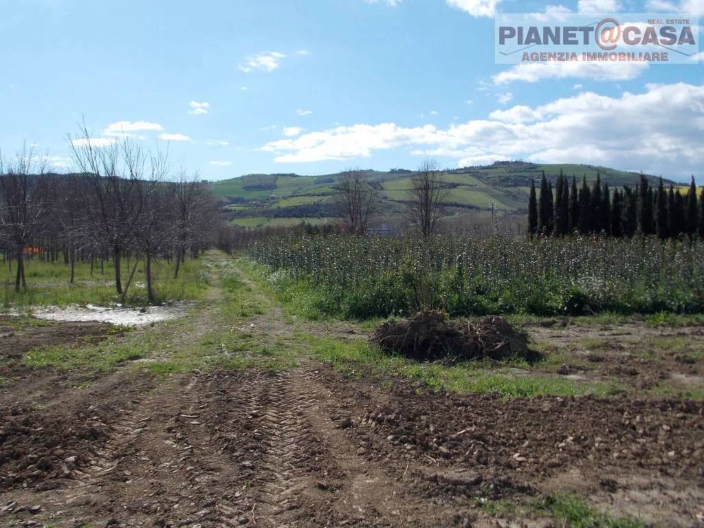 Terreno a Spinetoli in Via Morrice - Foto 4