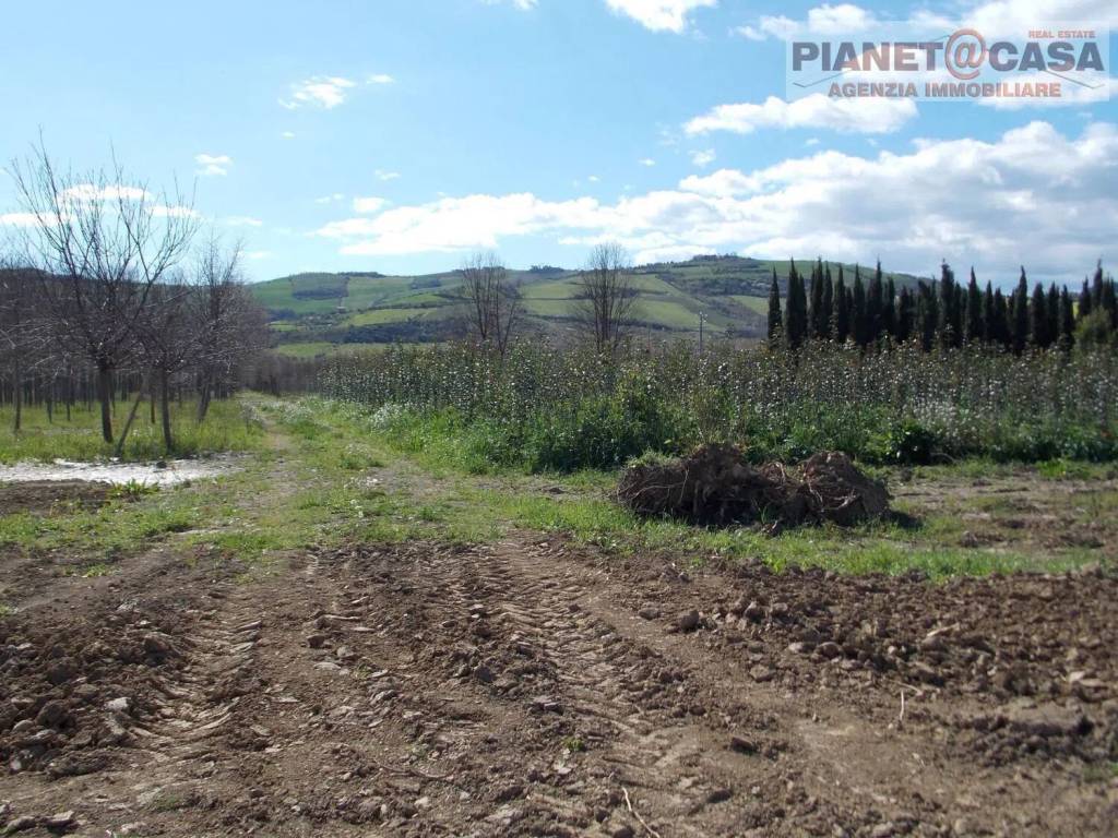 Terreno a Spinetoli in Via Morrice - Foto 5