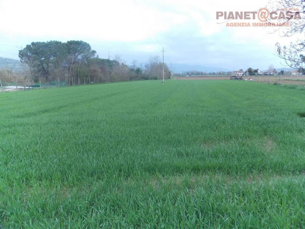 Terreno a Monsampolo del tronto in Contrada San Mauro - Foto 2