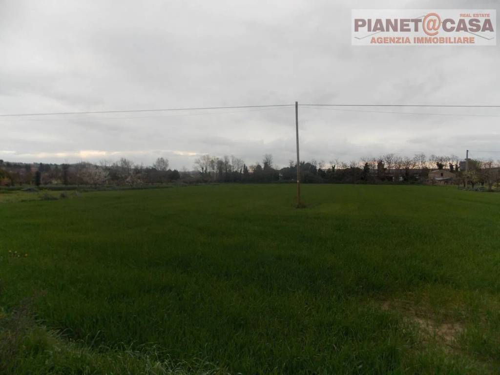 Terreno a Monsampolo del tronto in Contrada San Mauro - Foto 3