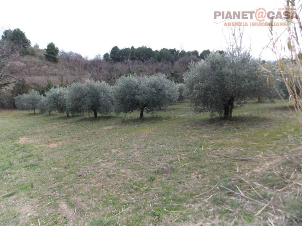 Terreno a San benedetto del tronto in Contrada Santa Lucia - Foto 3