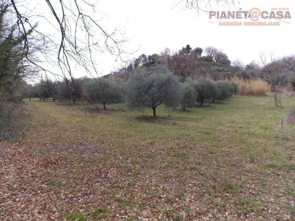 Terreno a San benedetto del tronto in Contrada Santa Lucia - Foto 4