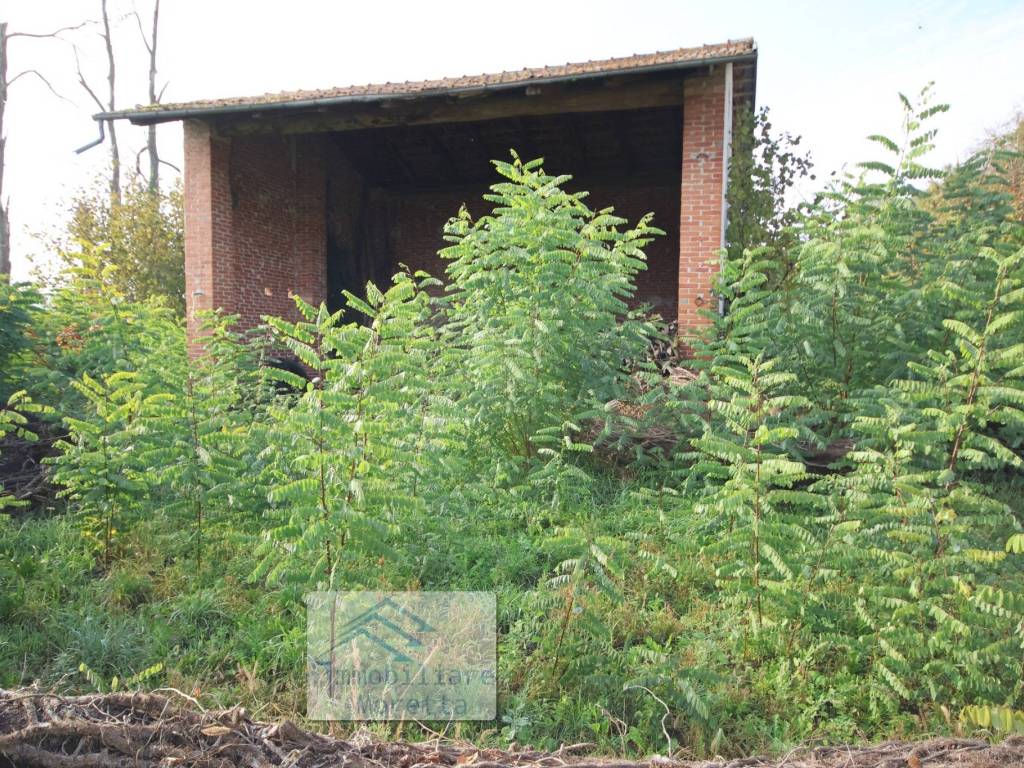 Rustico / casale a Piozzo in Località Valle - Foto 3