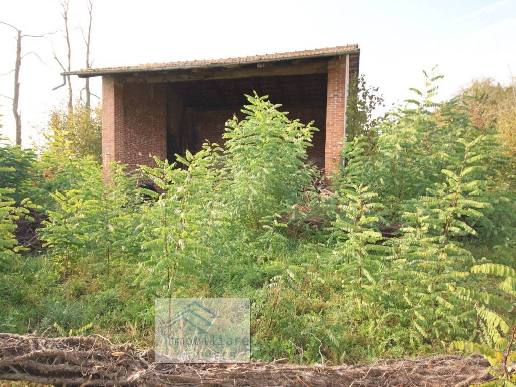 Rustico / casale a Piozzo in Località Valle - Foto 4