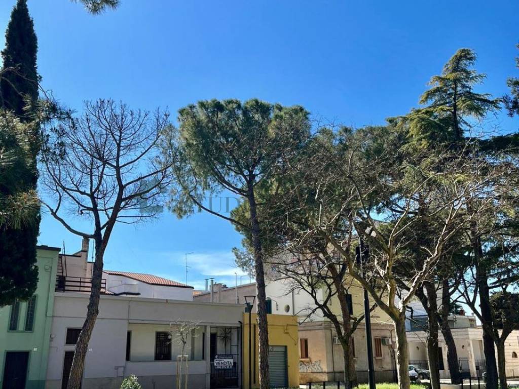 Villa a Sannicandro di bari in Piazza Ingegner Nicola Andriola, 3 - Foto 2