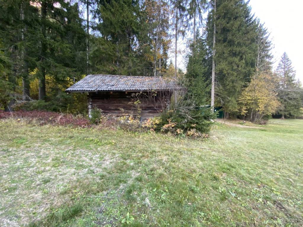Rustico / casale a Auronzo di cadore in Via Valle Ansiei - Foto 4
