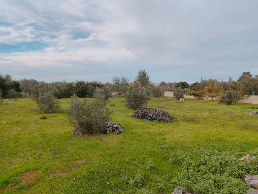Terreno a Neviano in Strada Comunale di Tuglie - Foto 2